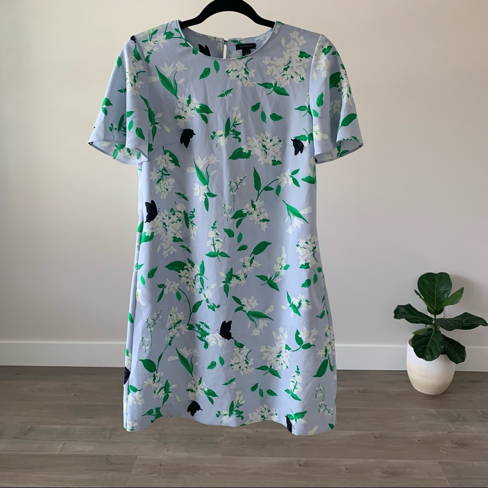 Ann Taylor Dress